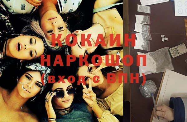 индика Абинск