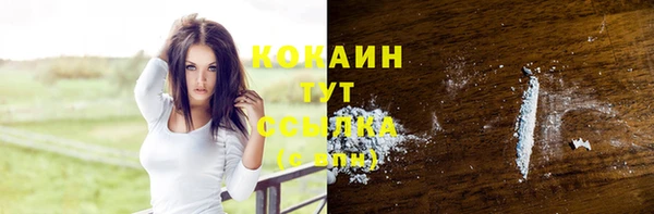 индика Абинск