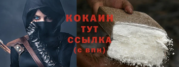 индика Абинск