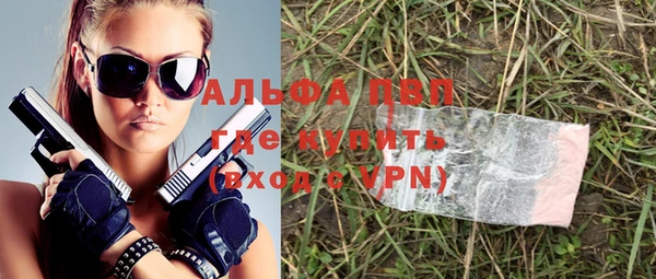 индика Абинск