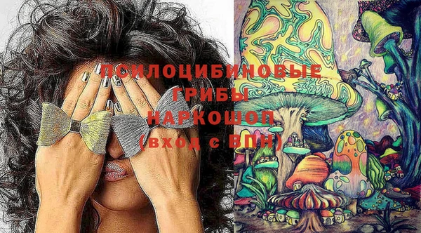 Альфа ПВП Абдулино