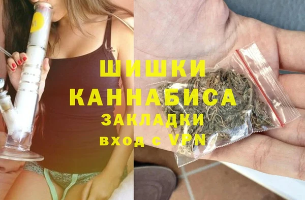 индика Абинск