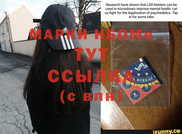индика Абинск
