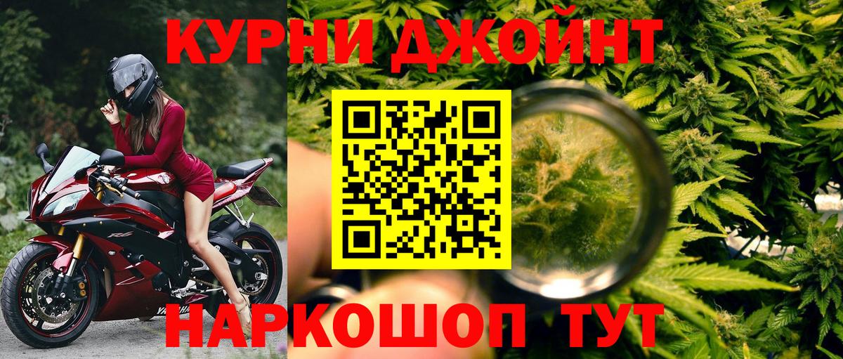 Бошки Шишки планчик Александров