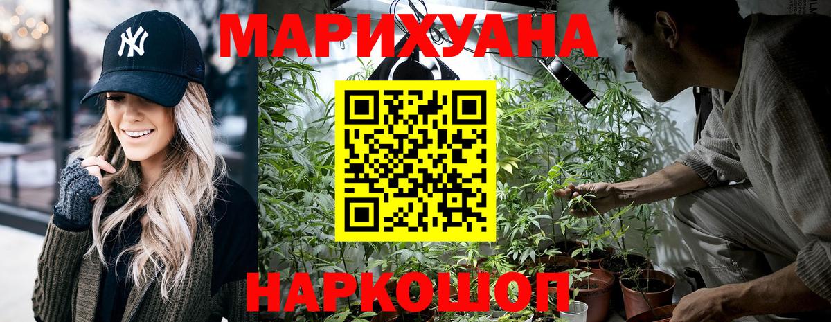 Александров  Бошки марихуана White Widow  Конопля планчик  Каннабис марихуана  Вход с VPN 